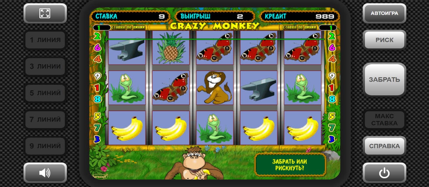 Crazy Monkey